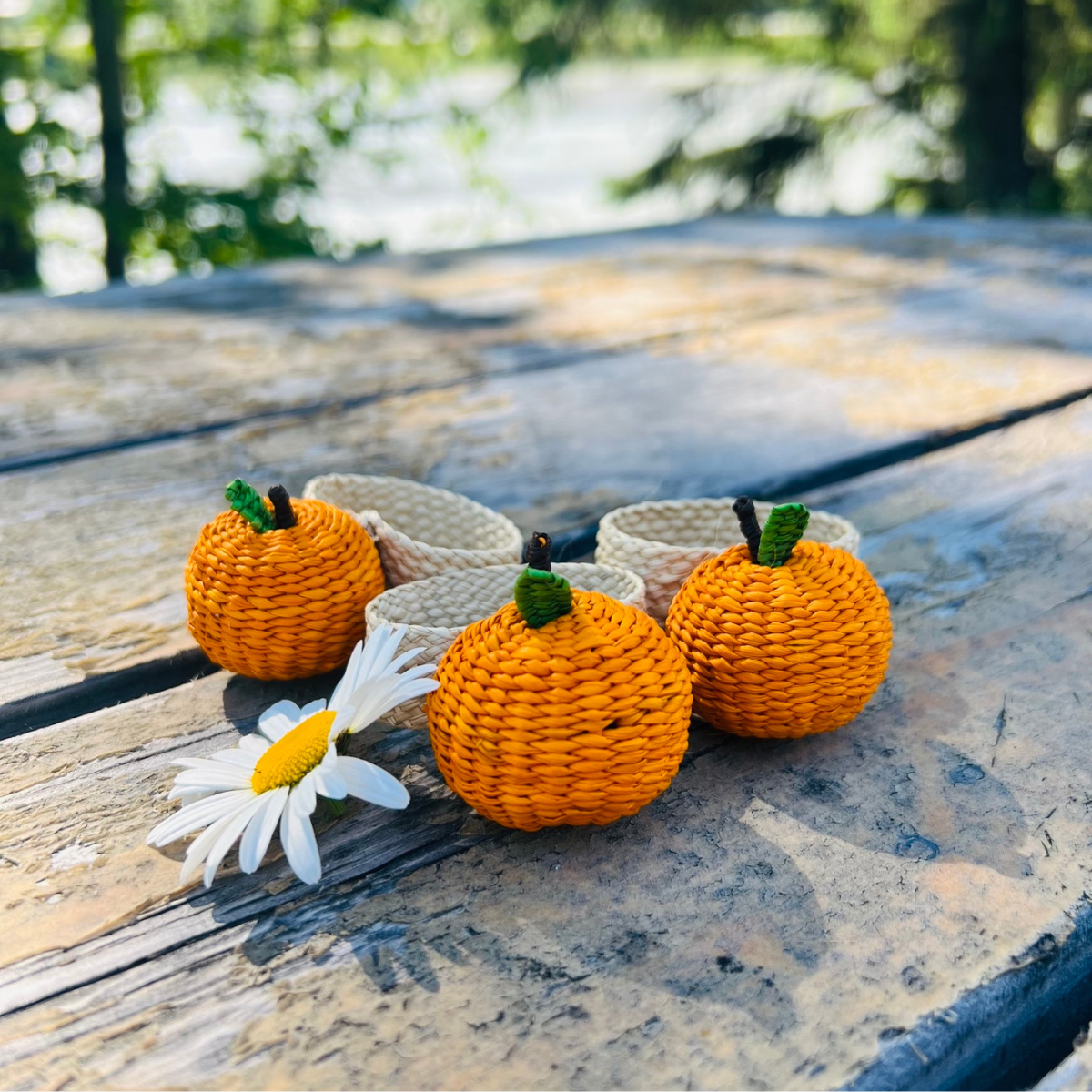 Handwoven Orange/Pumpkin Napkin Ring