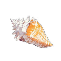 Conch Shell Acrylic Napkin Weight | Coastal Napkin Weight for Beach & Nautical Entertaining
