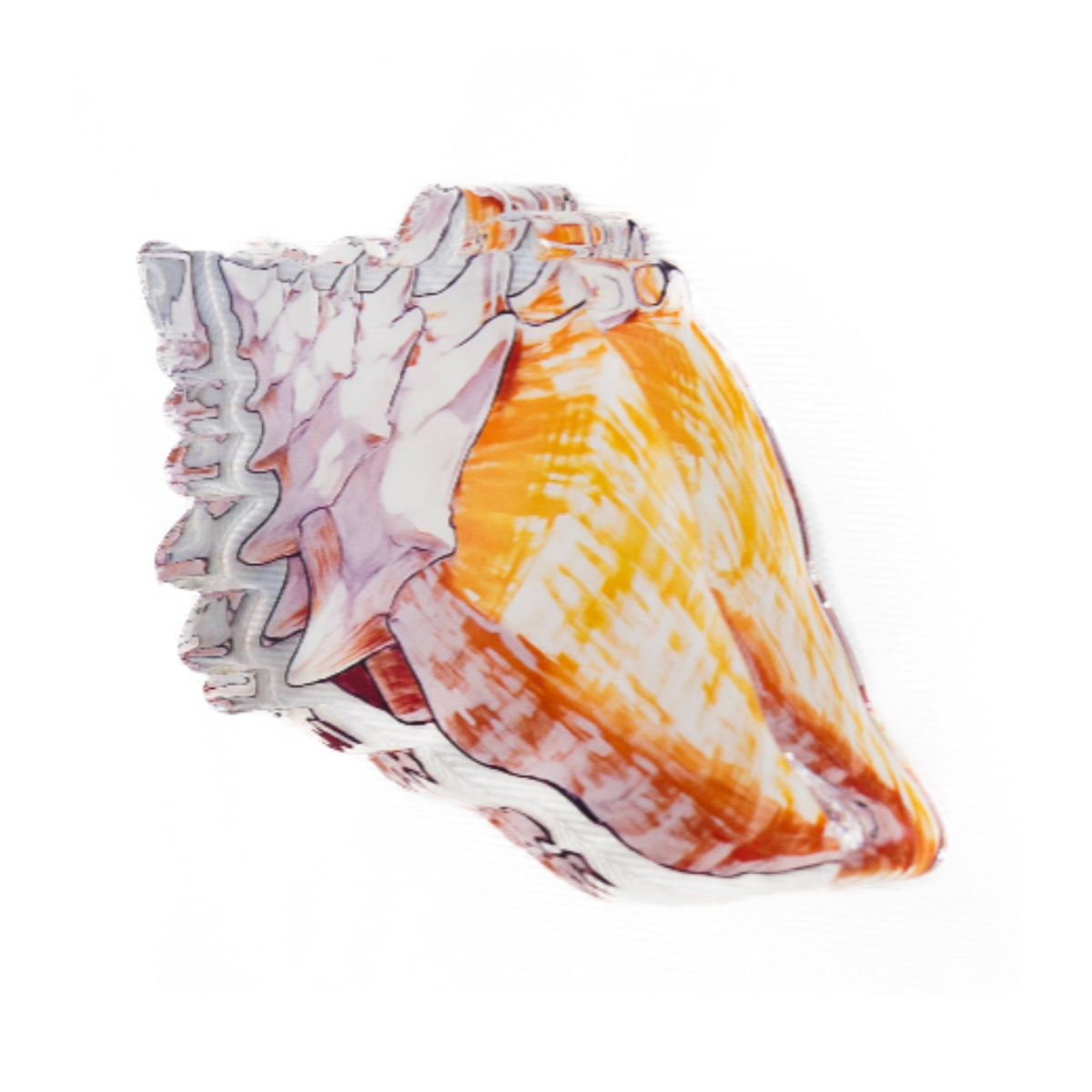 Acrylic napkin weight in the shape of a colorful conch shell is shown on a white background