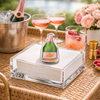 Champagne Bottle Acrylic Napkin Weight