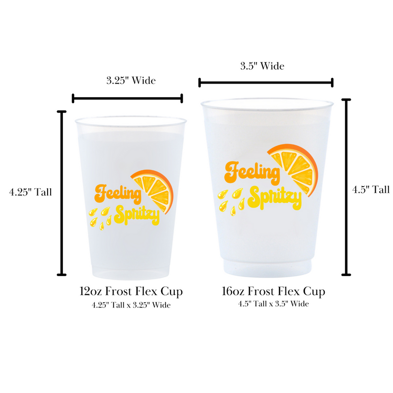 Feeling Spritzy Frosted Drinking Cup, 16oz