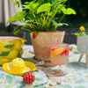 Lemon Punch Bowl & Ladle Set